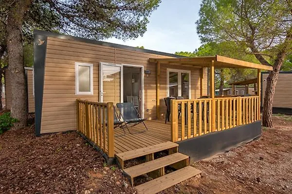 Holacamp Garrofer سيدجيس