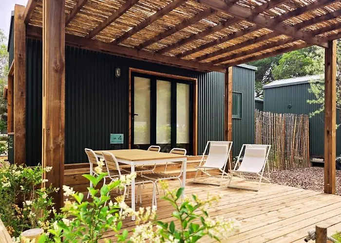 Holacamp Garrofer سيدجيس